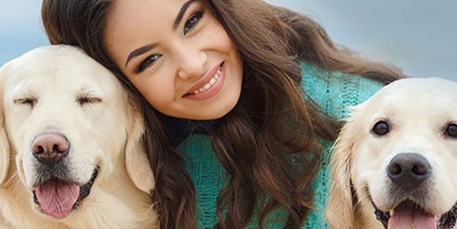 Fetch! Pet Care Slider-4