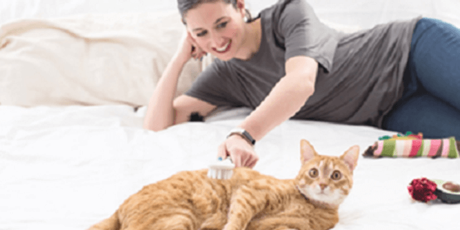 Fetch! Pet Care Slider-2