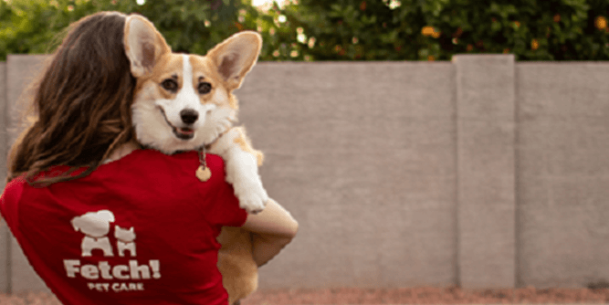 Fetch! Pet Care Slider-3