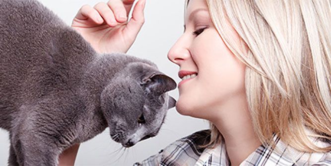 Fetch! Pet Care Slider-5