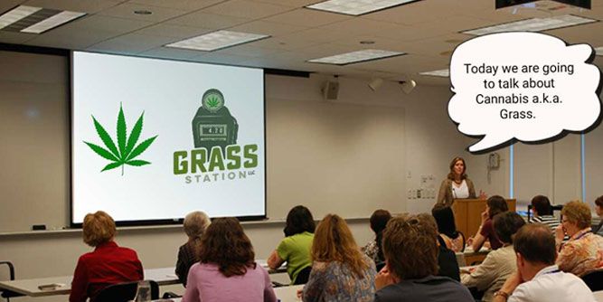 Grass Station Slider-4