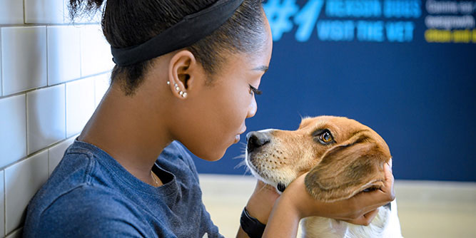 Scenthound - The Clean Dog Revolution Slider-8