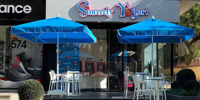 Sincerely Yogurt Slider-6