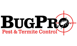  Franchise Opportunity