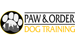  Franchise Opportunity