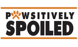  Franchise Opportunity