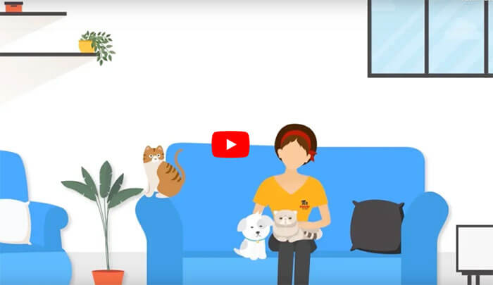 fetch pet care prices